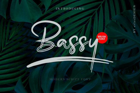 Bassy Font: A Stylish Script for Stronger Campaign Messaging